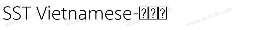 SST Vietnamese字体转换